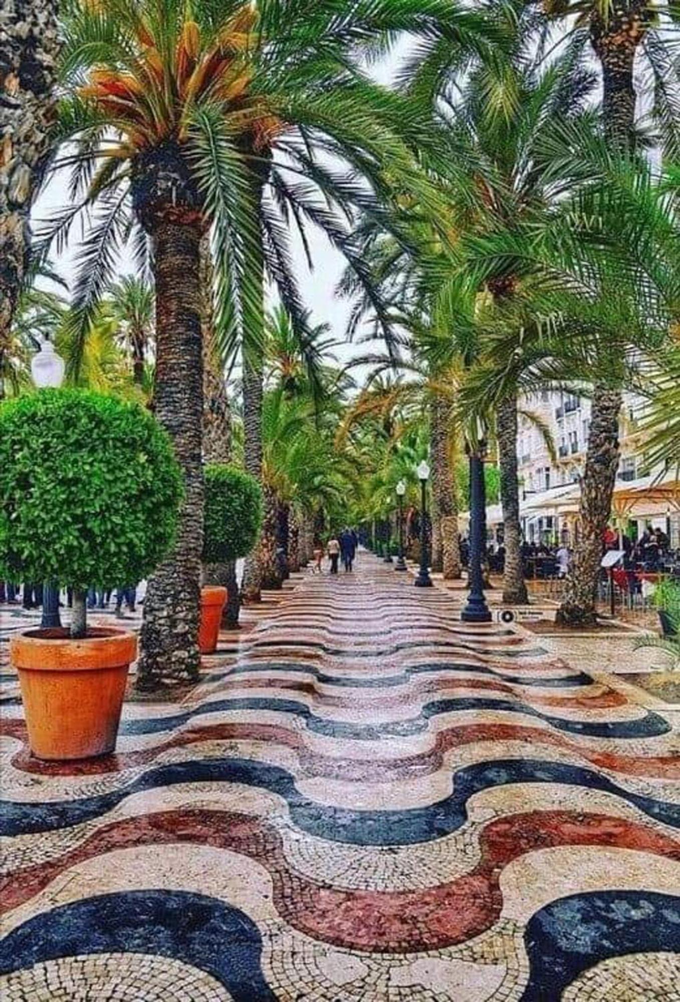 -Saint Thomas- Alicante Old Town Exterior photo